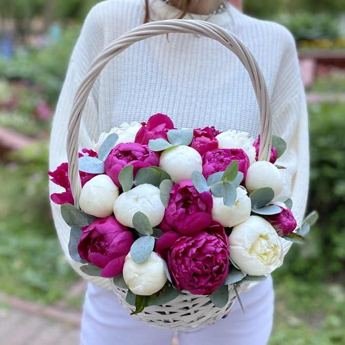 25 малиновых и белых пионов в корзине